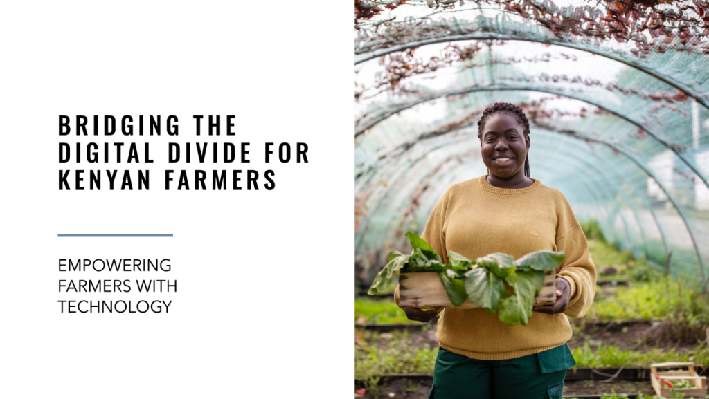 Content image for Bridging the Digital Divide: Thriving in the Tech-Driven Market