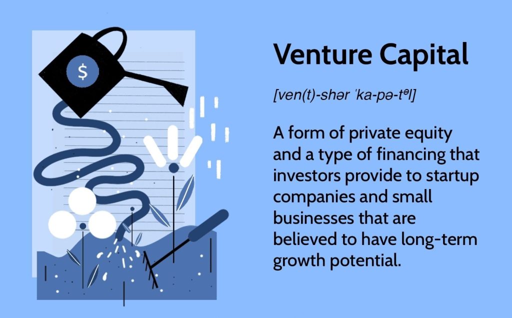 Content image for Venture Capital Challenges: Assessing Risks in Early-Stage Business Investments
