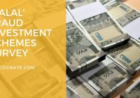 Featured image for Investment Fraud: Protecting Assets in Business Investment Schemes