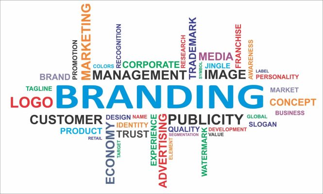 Featured image for Branding Basics: Creating Your Identity