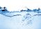 Featured image for Water Management Solutions